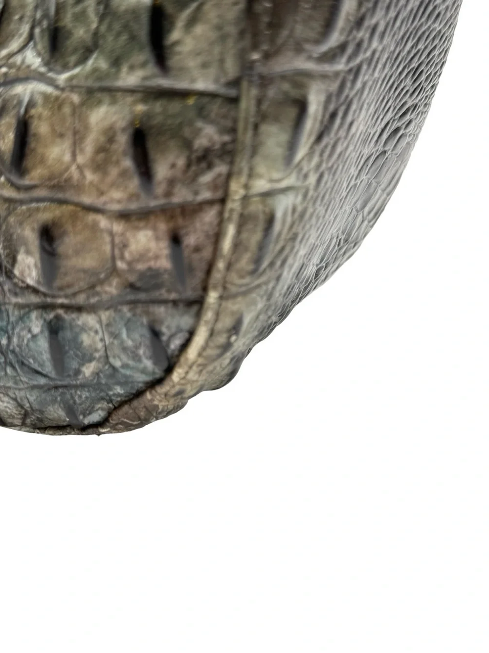 Brahmin Marianna in Talisman